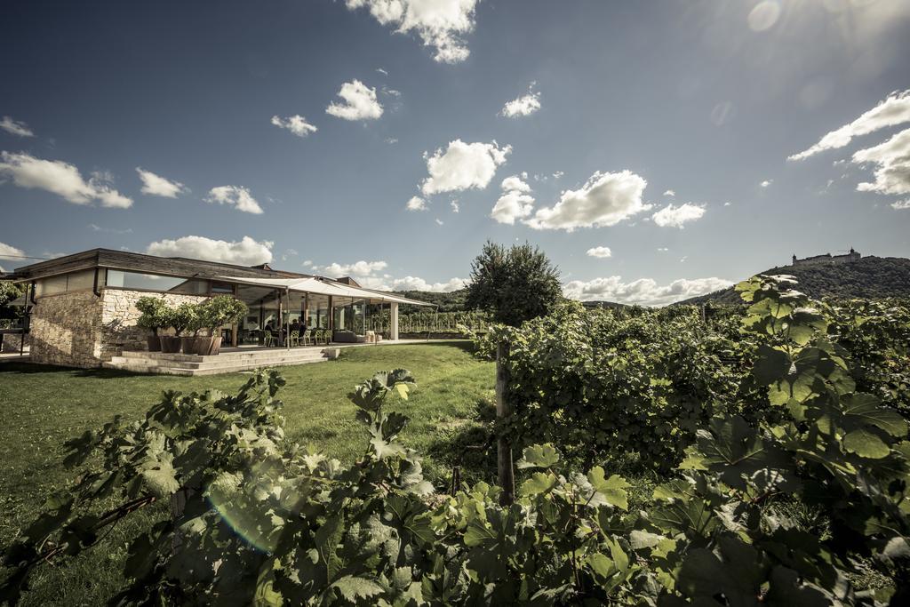 Malat Weingut Und Hotel Furth bei Gottweig Esterno foto