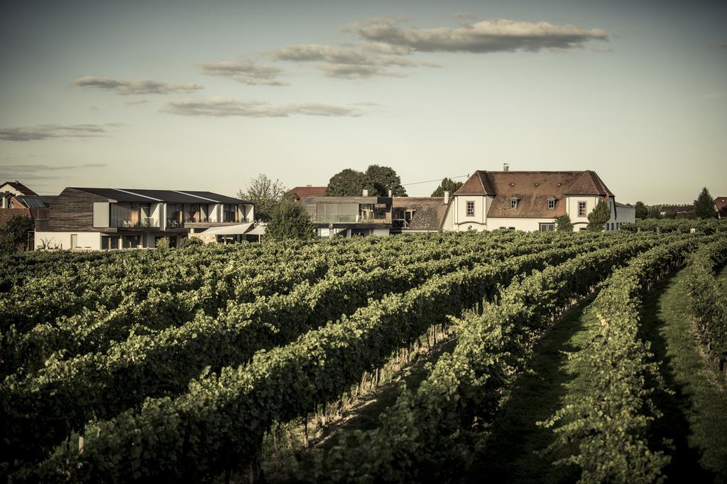 Malat Weingut Und Hotel Furth bei Gottweig Esterno foto